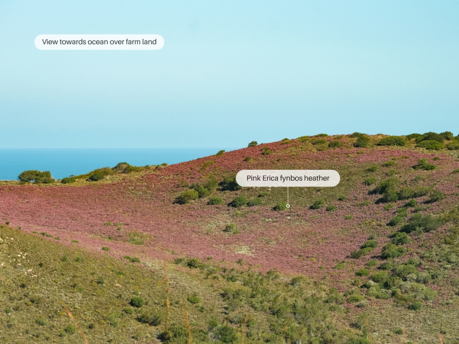 0 Bedroom Property for Sale in Fernwood Estate Western Cape